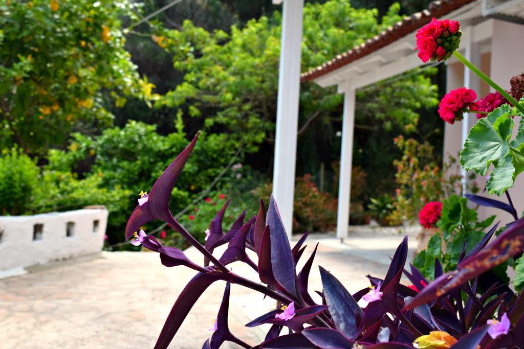 מסונגי Eden Sea View Studios מראה חיצוני תמונה
