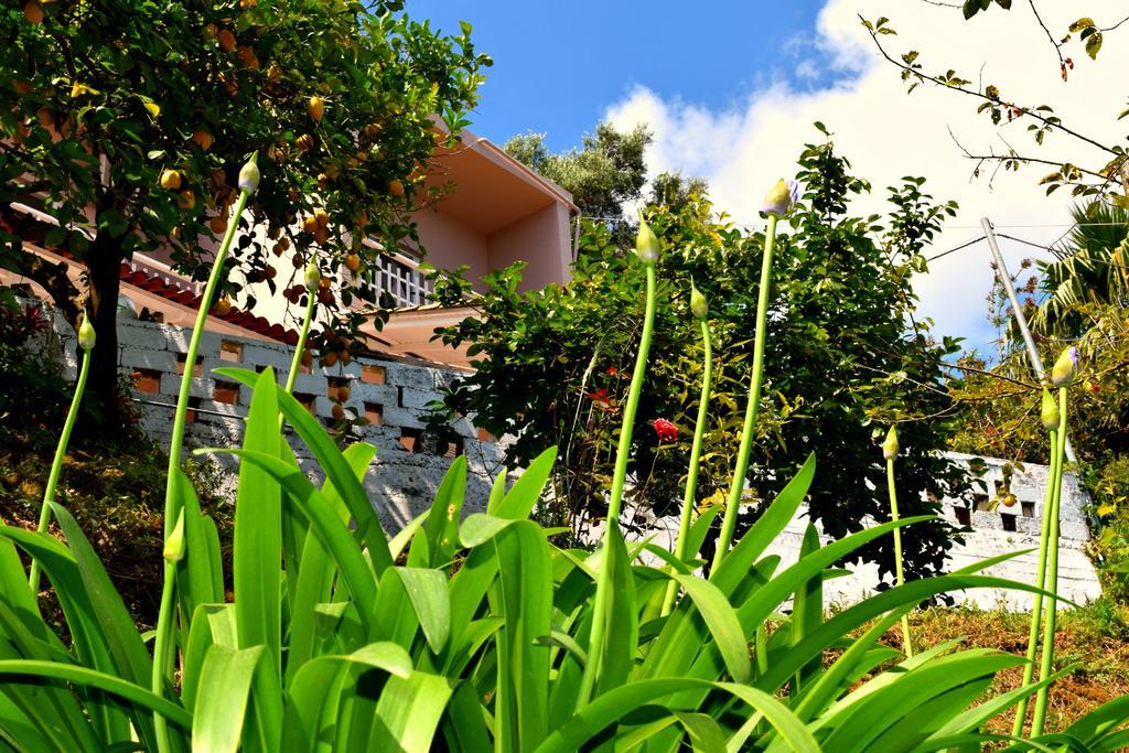 מסונגי Eden Sea View Studios מראה חיצוני תמונה